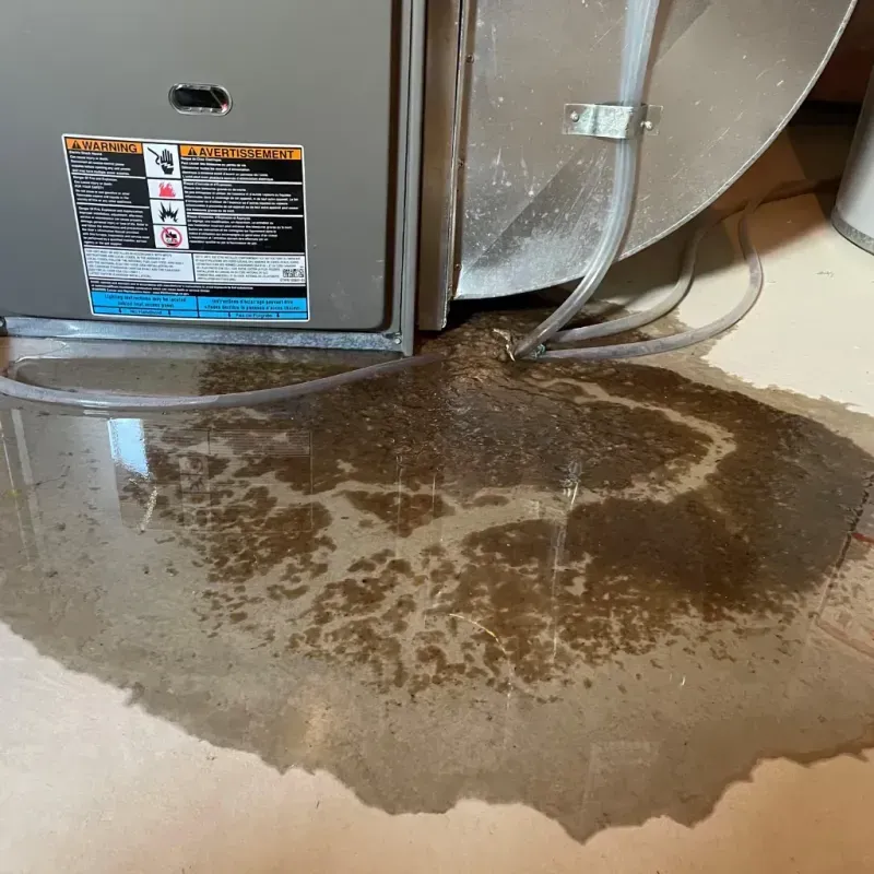 Appliance Leak Cleanup in Knottsville, KY